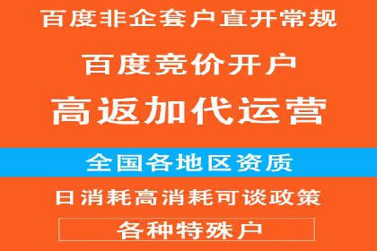 SEM公司案例分享：优化效果与转化率提升策略
